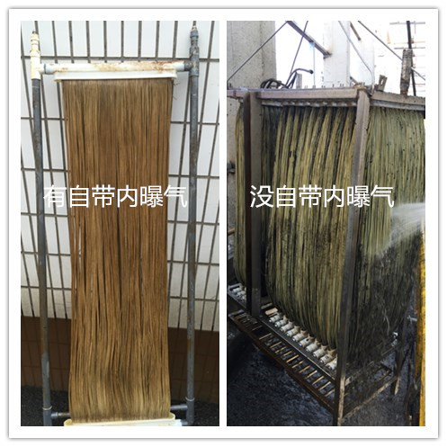 initpintu_副本.jpg
